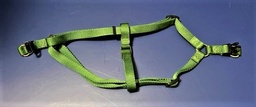 Green step in harness - medium - solid green $3